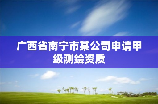 廣西省南寧市某公司申請甲級測繪資質