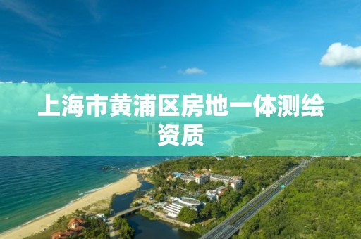 上海市黃浦區房地一體測繪資質