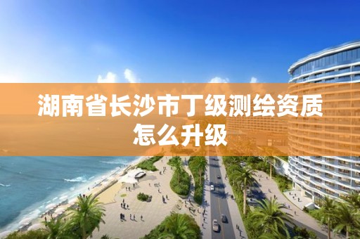 湖南省長沙市丁級測繪資質怎么升級