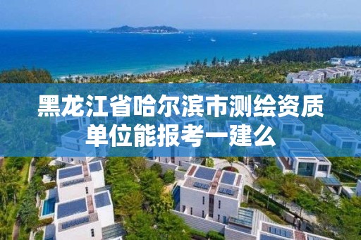 黑龍江省哈爾濱市測(cè)繪資質(zhì)單位能報(bào)考一建么