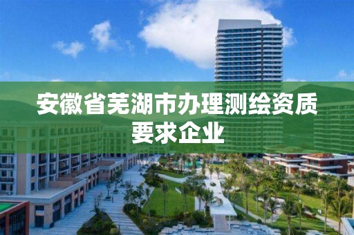 安徽省蕪湖市辦理測繪資質(zhì)要求企業(yè)