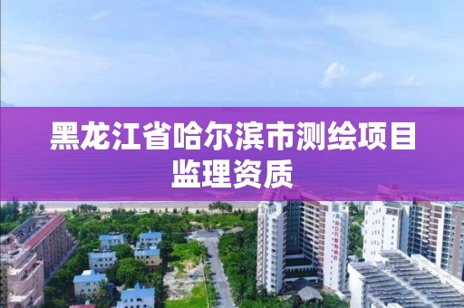 黑龍江省哈爾濱市測繪項目監理資質