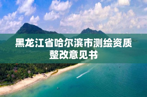 黑龍江省哈爾濱市測繪資質整改意見書