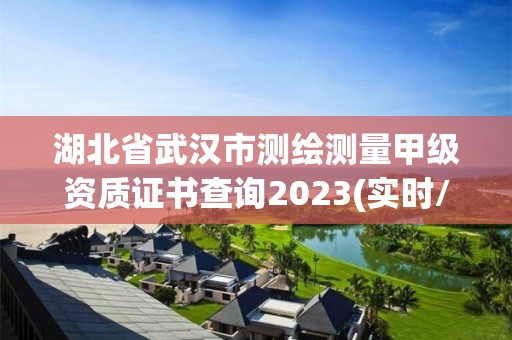 湖北省武漢市測繪測量甲級資質證書查詢2023(實時/更新中)