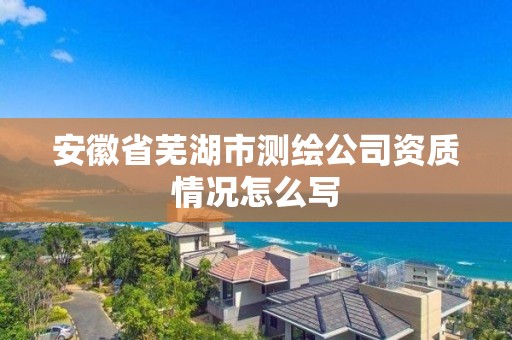 安徽省蕪湖市測繪公司資質情況怎么寫