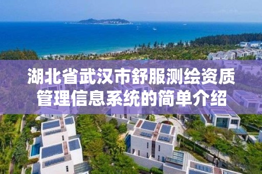 湖北省武漢市舒服測繪資質管理信息系統的簡單介紹