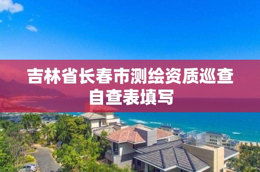 吉林省長春市測繪資質巡查自查表填寫