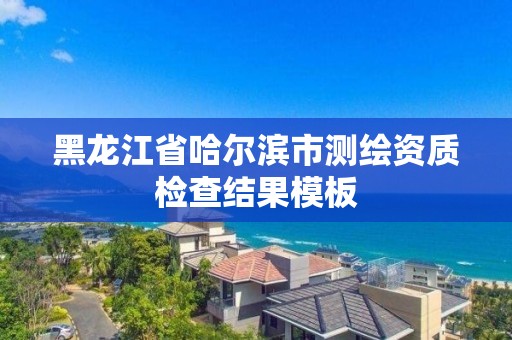 黑龍江省哈爾濱市測繪資質檢查結果模板