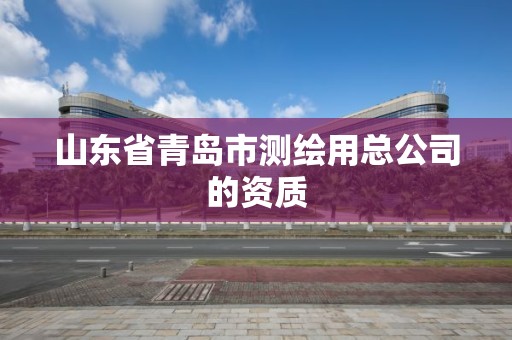 山東省青島市測繪用總公司的資質