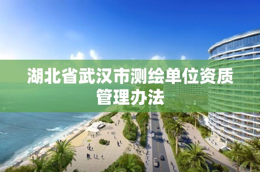 湖北省武漢市測繪單位資質管理辦法