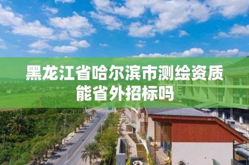 黑龍江省哈爾濱市測繪資質能省外招標嗎