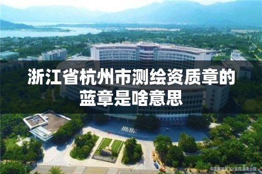 浙江省杭州市測繪資質章的藍章是啥意思