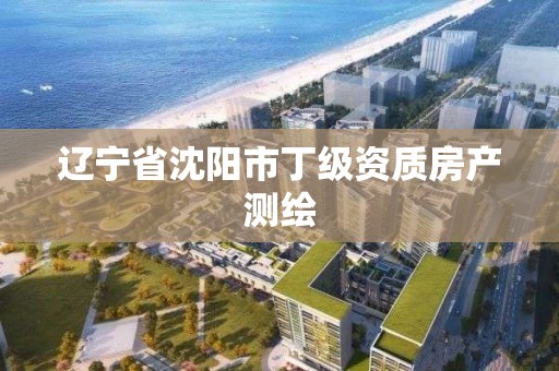 遼寧省沈陽市丁級資質房產測繪