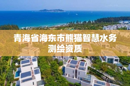 青海省海東市熊貓智慧水務(wù)測(cè)繪資質(zhì)