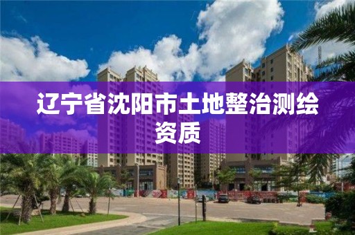 遼寧省沈陽市土地整治測繪資質