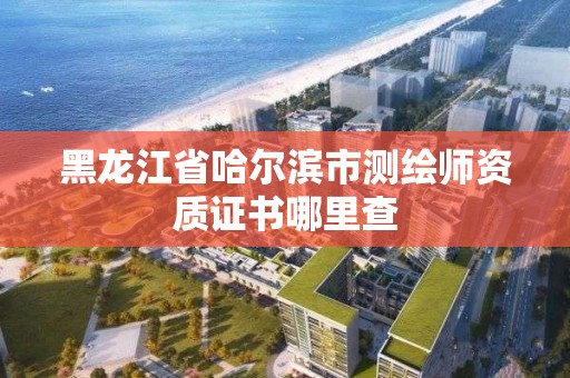 黑龍江省哈爾濱市測繪師資質證書哪里查