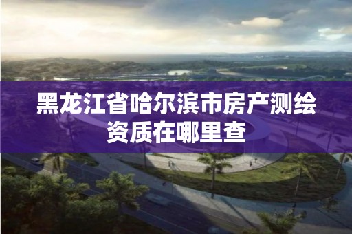 黑龍江省哈爾濱市房產(chǎn)測(cè)繪資質(zhì)在哪里查