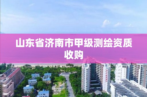 山東省濟南市甲級測繪資質收購