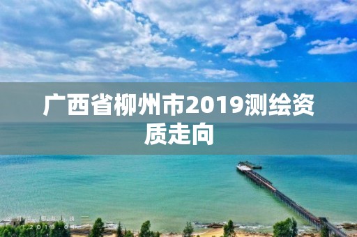 廣西省柳州市2019測繪資質走向