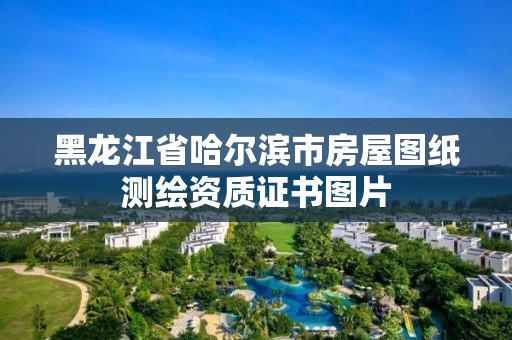 黑龍江省哈爾濱市房屋圖紙測繪資質證書圖片