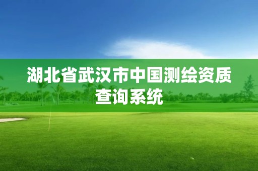 湖北省武漢市中國測繪資質查詢系統