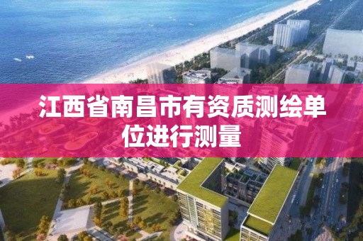 江西省南昌市有資質測繪單位進行測量