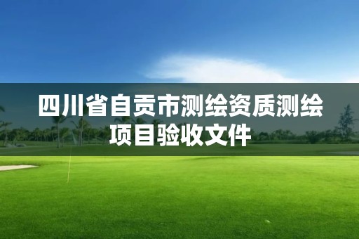 四川省自貢市測繪資質測繪項目驗收文件