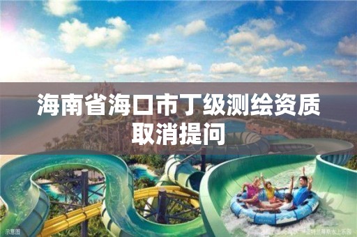 海南省海口市丁級測繪資質取消提問