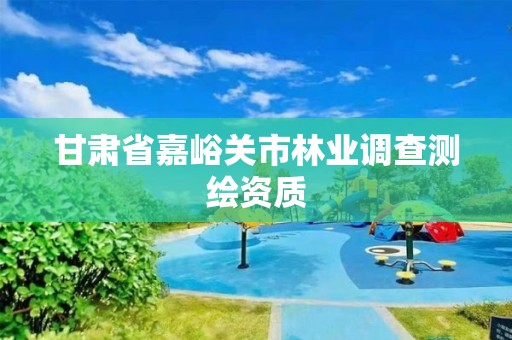 甘肅省嘉峪關市林業調查測繪資質