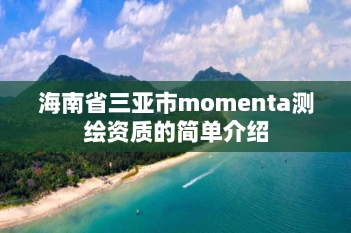 海南省三亞市momenta測繪資質的簡單介紹