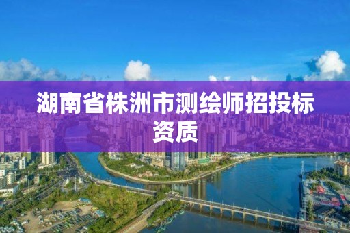 湖南省株洲市測繪師招投標資質