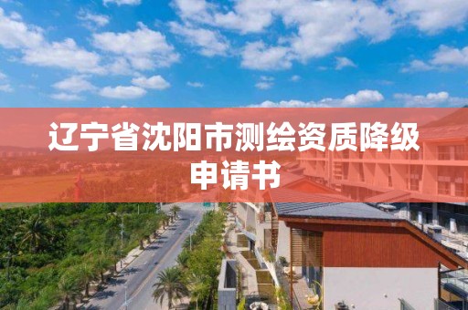 遼寧省沈陽市測繪資質降級申請書