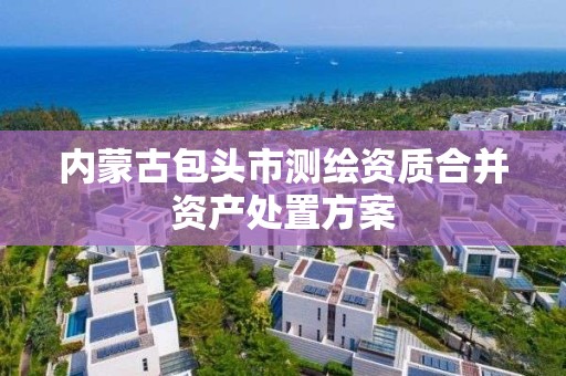 內蒙古包頭市測繪資質合并資產處置方案