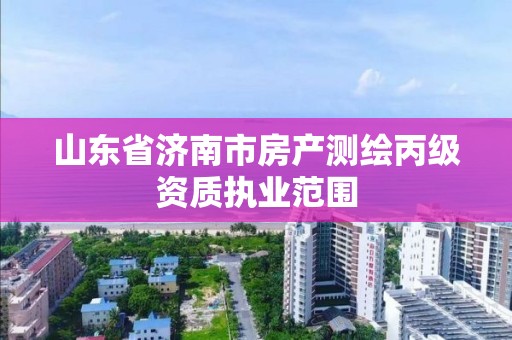 山東省濟南市房產測繪丙級資質執業范圍