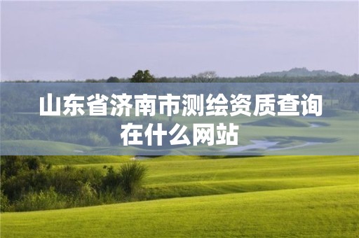 山東省濟南市測繪資質(zhì)查詢在什么網(wǎng)站