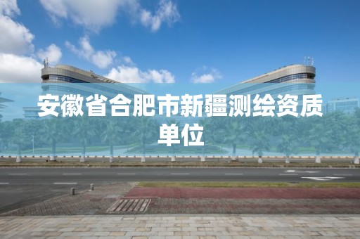 安徽省合肥市新疆測繪資質單位