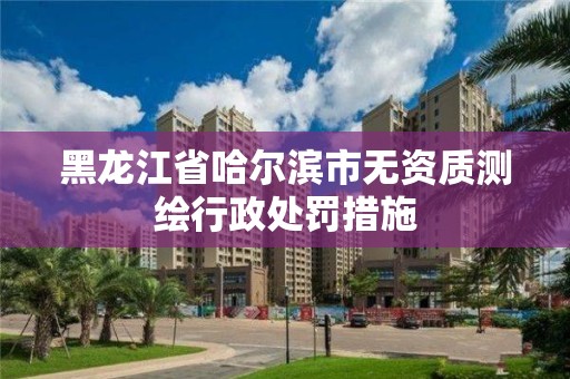 黑龍江省哈爾濱市無資質測繪行政處罰措施