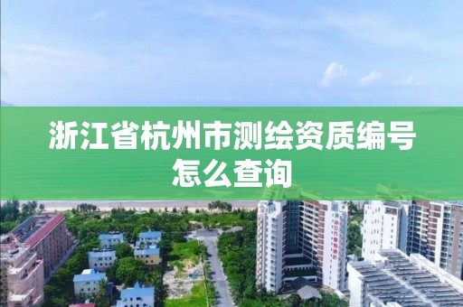 浙江省杭州市測繪資質編號怎么查詢