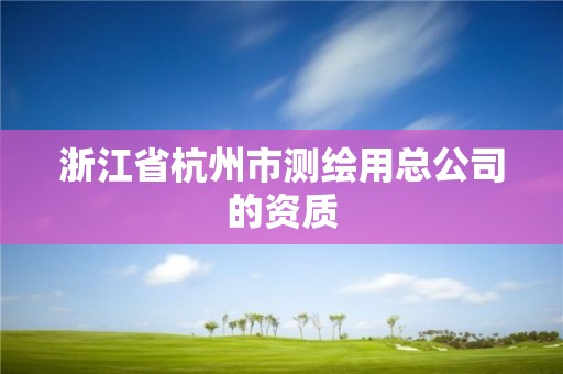 浙江省杭州市測繪用總公司的資質