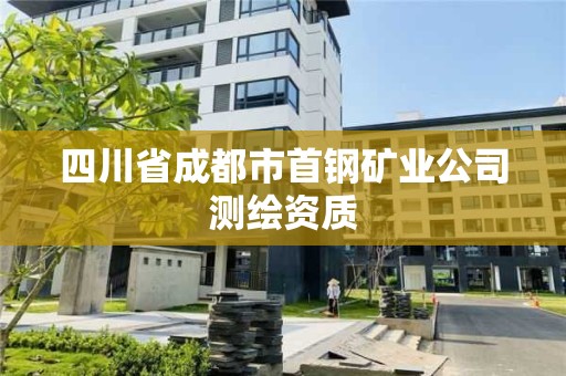 四川省成都市首鋼礦業公司測繪資質