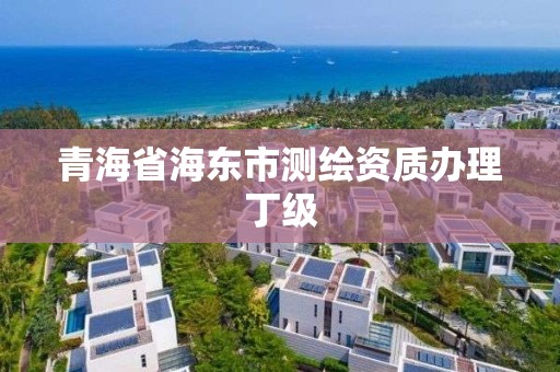 青海省海東市測繪資質辦理丁級