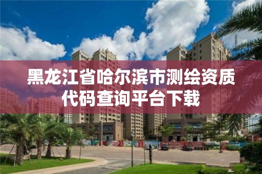 黑龍江省哈爾濱市測繪資質(zhì)代碼查詢平臺(tái)下載