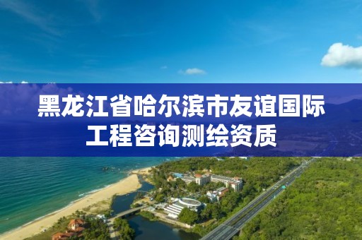 黑龍江省哈爾濱市友誼國際工程咨詢測繪資質