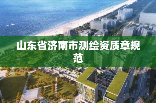 山東省濟南市測繪資質章規范