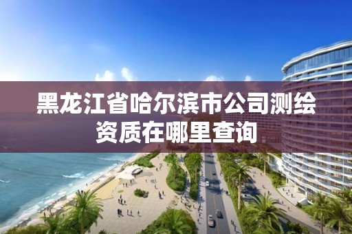 黑龍江省哈爾濱市公司測繪資質在哪里查詢