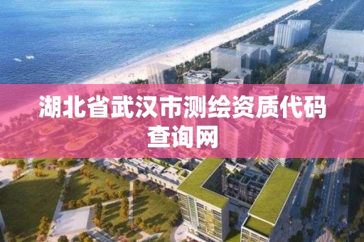 湖北省武漢市測繪資質代碼查詢網