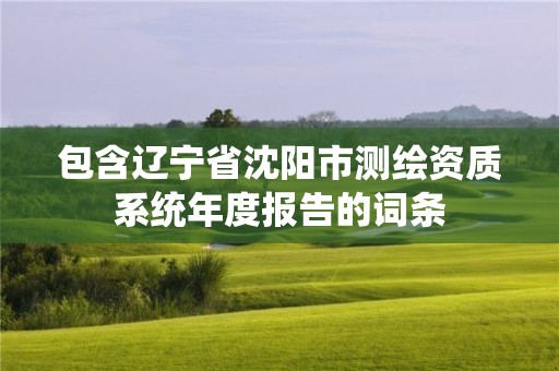 包含遼寧省沈陽(yáng)市測(cè)繪資質(zhì)系統(tǒng)年度報(bào)告的詞條