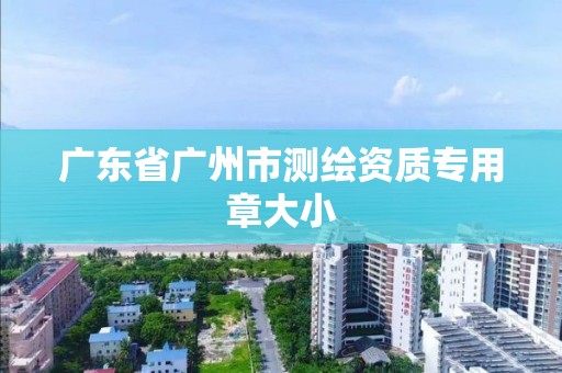 廣東省廣州市測繪資質專用章大小