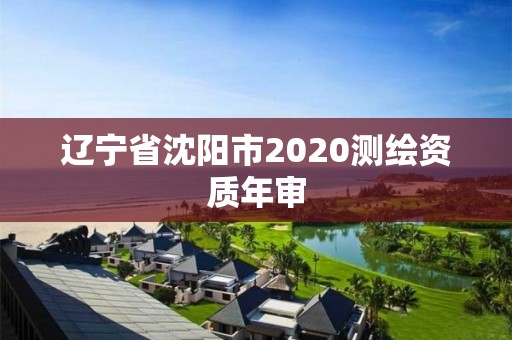 遼寧省沈陽市2020測繪資質(zhì)年審