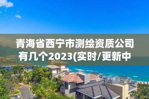 青海省西寧市測繪資質公司有幾個2023(實時/更新中)